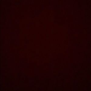 Meet your Posher, Cole